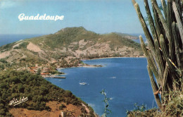 FRANCE - Guadeloupe En Couleurs - Saintes - Terre De Haut - Vue Sur La Plage - Vue D'ensemble - Carte Postale - Andere & Zonder Classificatie