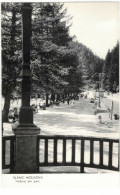 Slănic-Moldova - View Of The Park (3) - Roemenië