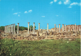 CHYPRE - Salamis - La Colonnade Du Portique Ouest Du Gymnase - Epoque Gréco Romaine - Colorisé - Carte Postale - Chipre