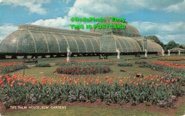 R418066 Kew Gardens. The Palm House. J. Salmon. Cameracolour - World
