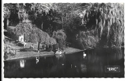 59  Valenciennes - Le Jardin  De La Rhonelle - Le Lac Et Les Cygnes - Valenciennes
