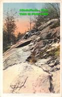 R418268 Climbing Bald Mountain. Adirondacks. Union News Company. Poly Chrome. G. - Mundo