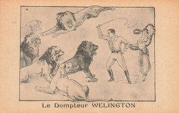 Cirque Circus * Le Dompteur WELINGTON * Lion Lions - Circus