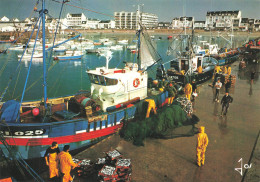 Quiberon * Le Débarquement Des Sardines à Port Maria * Bateaux De Pêche - Quiberon