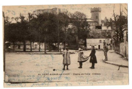 SAINT AIGNAN SUR CHER CHAMP DE FOIRE ANIMEE - Saint Aignan