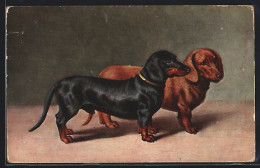 Künstler-AK Kurzhaar Dackel Unterschiedlicher Farbschläge  - Hunde