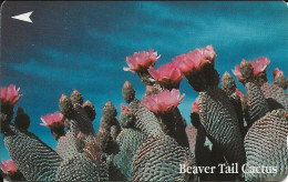Singapore: Singapore Telecom - 1994 Beaver Tail Cactus - Singapur