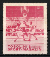 Reklamemarke Tosolini's Sport-Magazin, Boxer Bei Einem Ringkampf  - Erinnophilie