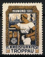 Reklamemarke Troppau, 11. Kreisturnfest & Heumond 1911, Sportler Am Reck  - Erinofilia