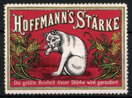 Reklamemarke Hoffmann's Stärke, Die Grösste Reinheit Dieser Stärke Wird Garantiert!, Katzte Schleckt Sich An Der Pf  - Erinnofilie