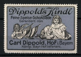 Reklamemarke Dippold's Kindl - Feinste Speise-Schokolade, Carl Dippold, Hof I. B., Mädchen Mit Katze  - Cinderellas