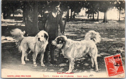 64 Type De Chiens Des Pyrenees, Deux Amis.  - Autres & Non Classés