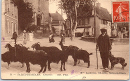 64 SALIES DE BEARN - Le Chevrier  - Salies De Bearn