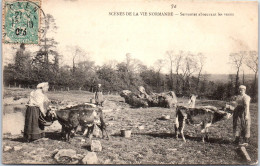 76 Scene De Normandie - Servantes Abreuvant Les Veaux  - Sonstige & Ohne Zuordnung