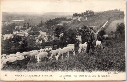 76 ARQUES LA BATAILLE - Le CHATEAUdepuis La Cote De Gruchet  - Sonstige & Ohne Zuordnung
