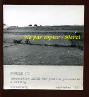 METTING (MOSELLE) - INSCRIPTION AZOTE SUR PRAIRIE PERMANENTE - SEPTEMBRE 1961 - AGRICULTURE - Places