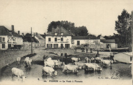 Fismes - La Vesle à Fismette "vaches" - Fismes