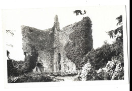 61 Domfront - Ruines De L'ancien  Donjon - Domfront