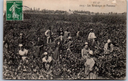 13 Les Vendanges En Provence  - Autres & Non Classés