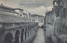 Lombardia  -  Mantova  -  Lungo Rio Giulio Romano  - F. Piccolo  -  Viagg - Bella Veduta - Mantova