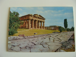 1962  PESTO  PAESTUM   TEMPIO  A NETTUNO CERERE   CAMPANIA  NON  VIAGGIATA CONDIZIONI FOTO FORMATO GRANDE - Salerno