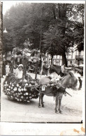 31 LUCHON - CARTE PHOTO - Attelage D'ane Fleuri. - Luchon