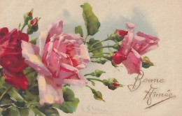 C KLEIN         ROSES    1017 - Klein, Catharina