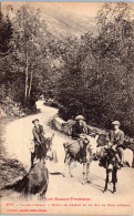 65 Vallee D'ossau, Route De Gabas Et Pic Du Midi - Otros & Sin Clasificación