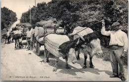 65 Dans Les Pyrenees, Un Attelage De Bœuf - Autres & Non Classés