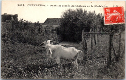 78 CHEVREUSE - Dans Les Fosses Du CHATEAUde La Madeleine  - Chevreuse
