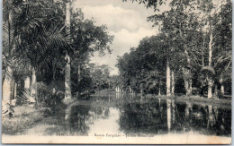 ILE MAURICE - PAMPLEMOUSSES - Le Jardin Botanique  - Maurice