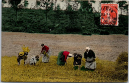 AGRICULTURE - Les Glaneuses  - Sonstige & Ohne Zuordnung