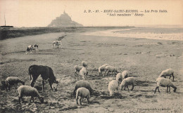 Le Mont St Michel * Les Prés Salés * Moutons Sheep - Le Mont Saint Michel