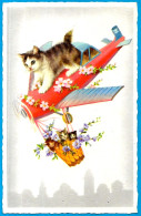 CPA CPSM Illustrateur CHATS - CHATONS En Avion ° M.D. Série 4955 ** Chat Cat - Chats
