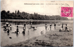 45 CHATEAUNEUF SUR LOIRE - Les Bords De La Loire, La Plage  - Other & Unclassified