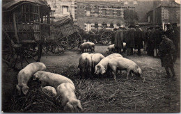 61 FLERS - Place De La Halle, Marche Aux Porcs. - Flers