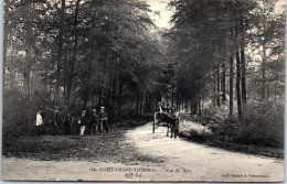 59 SAINT AMAND - Vue Du Bois  - Saint Amand Les Eaux