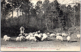 40 Echassier Landais Gardant Ses Moutons. - Other & Unclassified