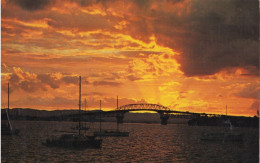 AUCKLAND HARBOUR NEW ZEALAND - Nouvelle-Zélande