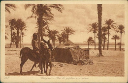 LIBIA / LIBYA - BENGASI / BENGHAZI - FRA LE PALME E IL MARE (1512 ) EDIT. LEHNERT & LANDROCK 1920s (12670) - Libia