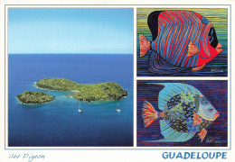 FRANCE - Guadeloupe - Antilles Françaises - Het Pigeon - Multi-vues - Carte Postale - Autres & Non Classés