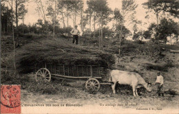 N°2581 W -cpa L'exploitation Des Bois En Bourgogne -un Attelage Dans La Coupe- - Wagengespanne