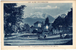 74 / SALLANCHES - La Pelouse Et Le Mont-Blanc - Sallanches