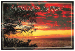 FRANCE - Guadeloupe - Antilles Françaises - French West Indies - Coucher De Soleil à Bouillante - Carte Postale - Autres & Non Classés