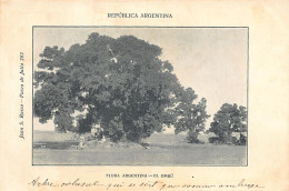 Argentina - Flora Argentina - El Ombú - Ed. Juan S. Russo  - Argentinië