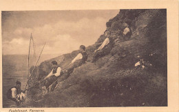 Faroe - Fuglefangst - Bird Catching - Publ. Unknown  - Féroé (Iles)