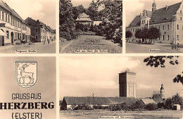 Herzberg (BR) Elster Mehrfachansicht Torgauer Strasse - Park Am Haus Der Kultur - Rathaus - Wasserturm Mit Sternwarte - Herzberg