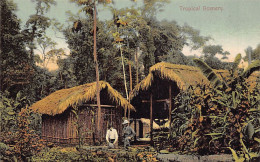 Panamá - Tropical Scenery - Publ. I. L. Maduro Jr. 180 - Panamá