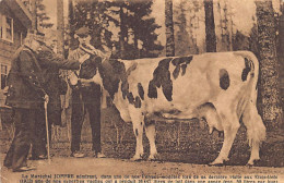 SEATTLE (WA) French Marshal Joffre Admiring A Cow From The Gloria Dairy During His Visit In 1922 - Seattle