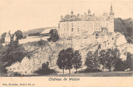 WALZIN (Namur) Le Château - Ed. Nels Série 8 N. 92 - Autres & Non Classés